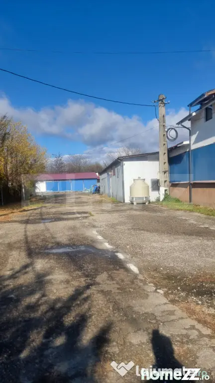 PESTE 10000 MP de platforma betonata,peste 4000 mp suprafata - Baltesti (Prahova)