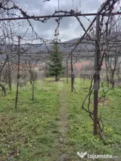 ROPRIETATE EXCLUSIVĂ DE VÂNZARE – ZONĂ CENTRALĂ CUGIR 