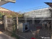 De vanzare Ferma & Abator 