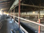 De vanzare Ferma & Abator 
