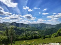 Cabană din lemn masiv, 100 mp utili, teren 3000 mp, Someșu