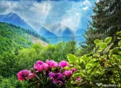 Complex turistic eco-integrat – Predeal (Trei Brazi) 