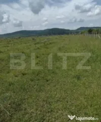 Teren De Vanzare Sesul Jelni, 5 Hectare 