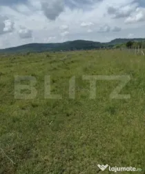 Teren De Vanzare Sesul Jelni, 5 Hectare