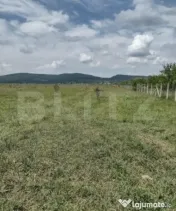 Teren De Vanzare Sesul Jelni, 5 Hectare 