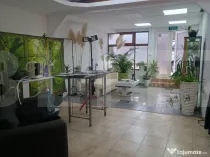 Spațiu comercial 259 mp zona Modern