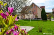 Casă/vilă de vânzare cu teren generos 3659 mp și 3 const 