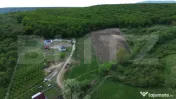 Teren 15.100 mp la baza pădurii – ideal parcelare | 14 lo 