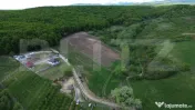 Teren 15.100 mp la baza pădurii – ideal parcelare | 14 lo 