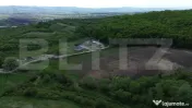 Teren 15.100 mp la baza pădurii – ideal parcelare | 14 lo 