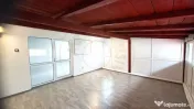 Inchiriere Spatiu comercial 130 mp Craiovei-Doja cu parcare 