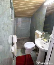 Inchiriere Spatiu comercial 130 mp Craiovei-Doja cu parcare 