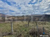 Teren extravilan, peste 80 de ari de vanzare in Bistrita, pe 
