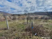 Teren extravilan, peste 80 de ari de vanzare in Bistrita, pe 
