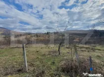 Teren extravilan, peste 80 de ari de vanzare in Bistrita, pe
