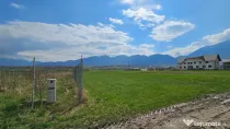 Teren intravilan pentru constructii Zarnesti