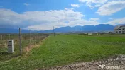 Teren intravilan pentru constructii Zarnesti 
