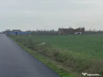 Teren intravilan Plătărești - proprietar 1568mp.