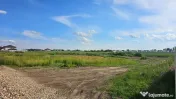 DOMNESTI - FORTULUI TEREN CONSTRUCTII 606 MP