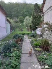 Bocsa Montana, Casa mare la strada principala 