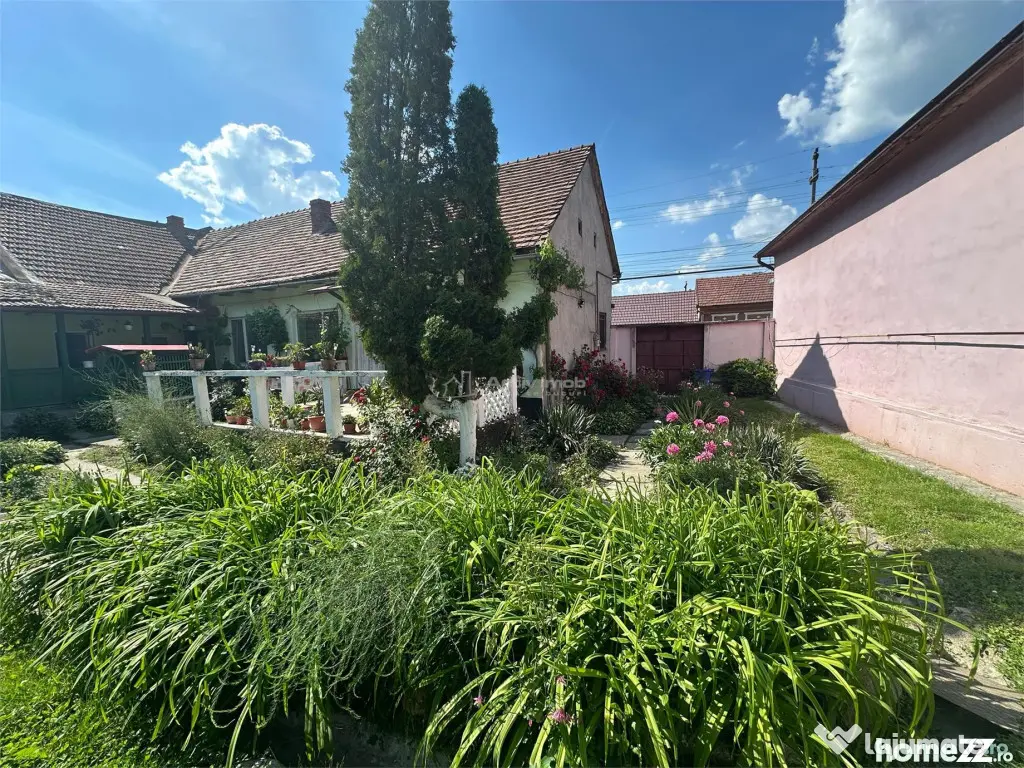 Bocsa Montana, Casa mare la strada principala