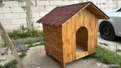 Casute personalizate pentru animale, realizate la comanda. 