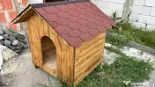 Casute personalizate pentru animale, realizate la comanda. 