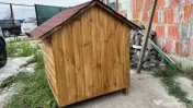 Casute personalizate pentru animale, realizate la comanda. 