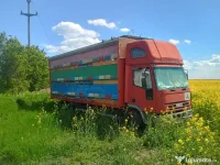 camion apicol cu stupi 