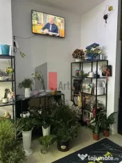 Inchiriere Spatiu Comercial Piata Victoriei, 30mp 