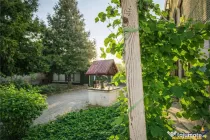Casa saseasca autentica,1.100 mp teren, pomi fructiferi si p