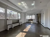 Studio nedecomandat, 40 mp, etaj 2, Bulevardul Carol I 