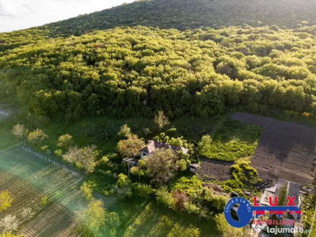 ID 7923 EXCLUSIVITATE - Oază de liniște în Visterna