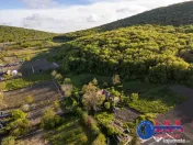 ID 7923 EXCLUSIVITATE - Oază de liniște în Visterna 