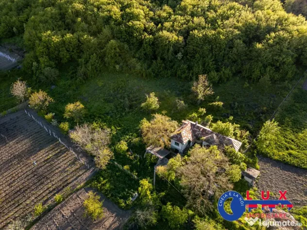 ID 7923 EXCLUSIVITATE - Oază de liniște în Visterna