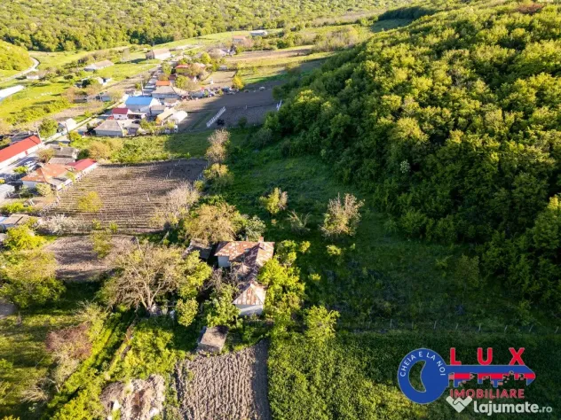 ID 7923 EXCLUSIVITATE - Oază de liniște în Visterna