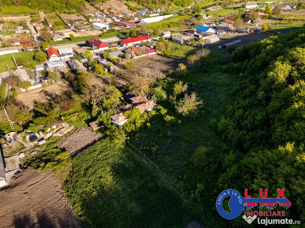 ID 7923 EXCLUSIVITATE - Oază de liniște în Visterna
