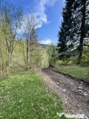 Teren extravilan, 2.8 ha, în zona Șandru, Câmpulung Moldo 