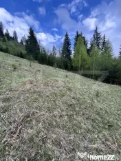 Teren extravilan, 2.8 ha, în zona Șandru, Câmpulung Moldo 