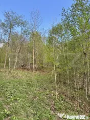 Teren extravilan, 2.8 ha, în zona Șandru, Câmpulung Moldo 