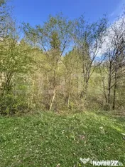 Teren extravilan, 2.8 ha, în zona Șandru, Câmpulung Moldo 