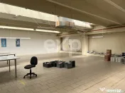 Spațiu industrial / multifuncțional | Bd. Muncii, Cluj-Nap