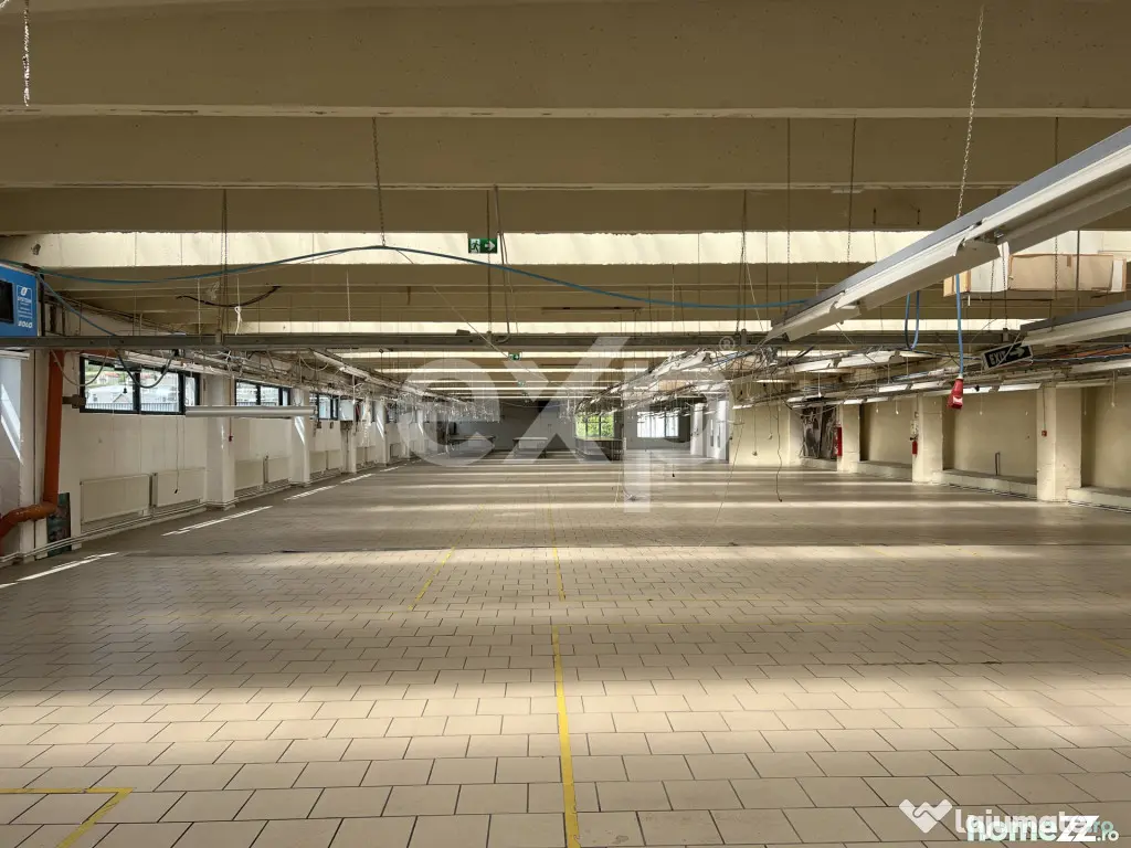 Spațiu industrial / multifuncțional | Bd. Muncii, Cluj-Nap