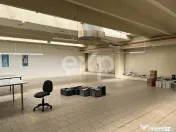 Spațiu industrial / multifuncțional | Bd. Muncii, Cluj-Nap 