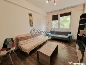 Apartament ideal investitie pe strada Horea 