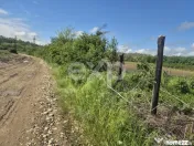 De vanzare teren la super pret in Albota, Cerbu, Arges