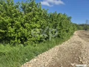 De vanzare teren la super pret in Albota, Cerbu, Arges