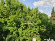 Apartament cu garaj in Cartierul Grigorescu 