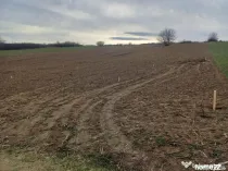 Teren intravilan,433mp,21.6m deschidere,la 1.5km de gara