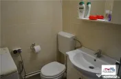 Apartament 1 Camera Mobilat si Utilat de Zona Dambu Pietros 